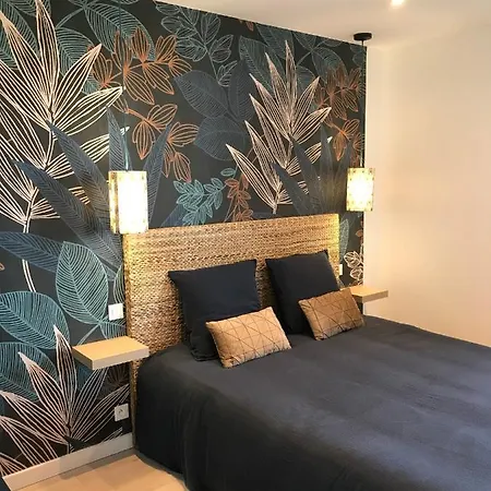 Appartement Joli Tres Bien Situe - *